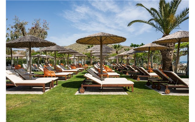 Corissia Beach 