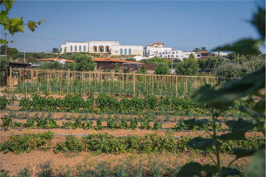  Creta Maris Resort