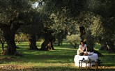 The Romanos, a Luxury Collection Resort - The Romanos, a Luxury Collection Resort