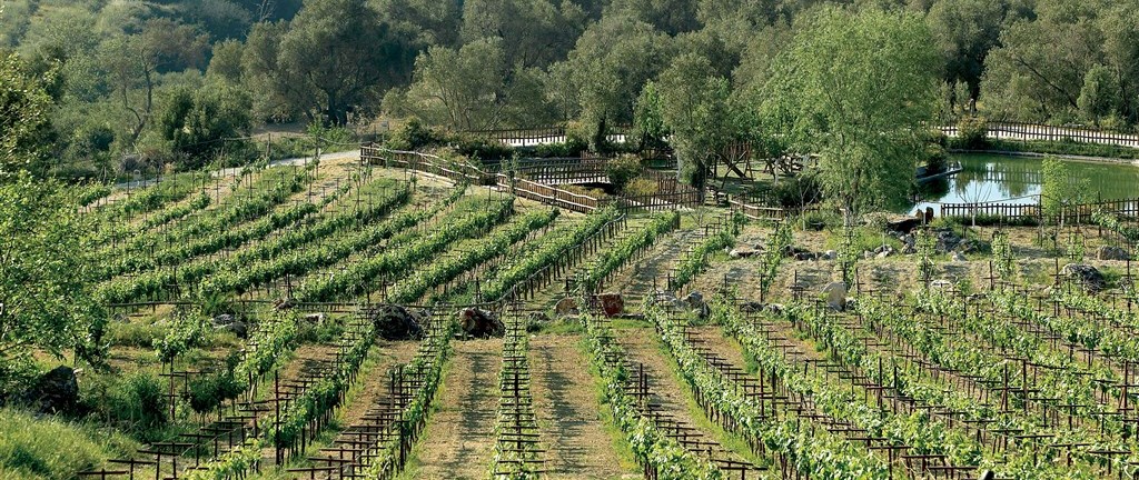 Kréta Makedonie Samos