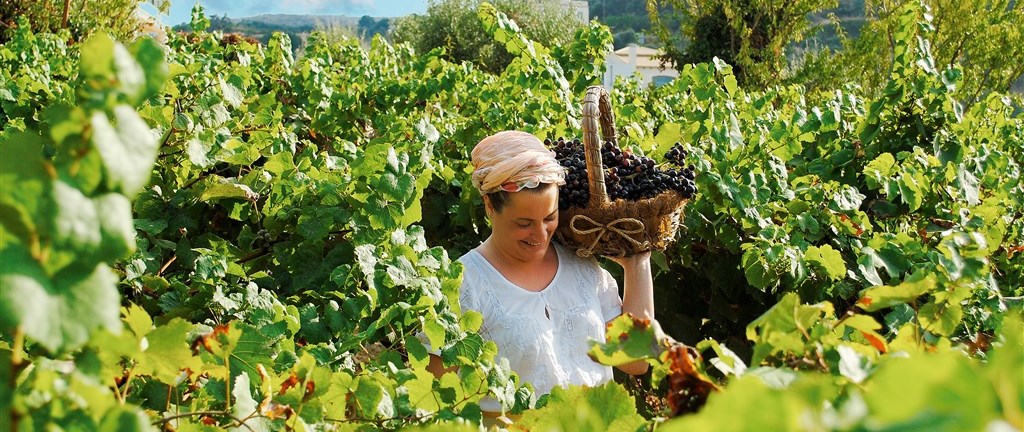 Kréta Makedonie Samos