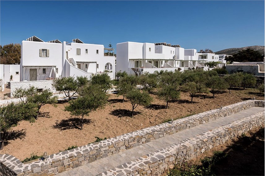 saint andreas resort paros Saint Andrea Resort