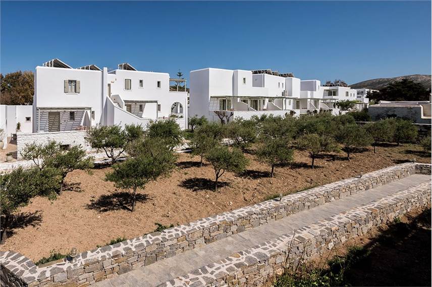 saint andreas resort paros Saint Andrea Resort