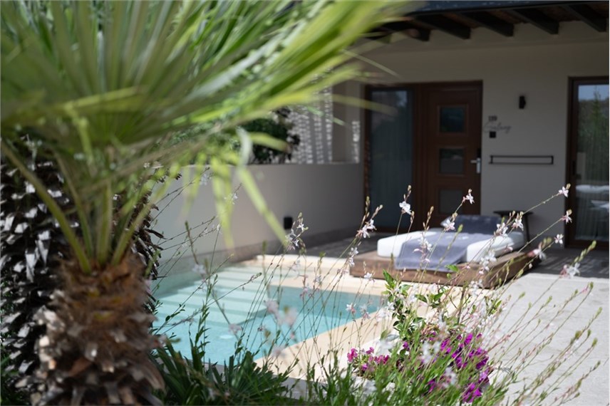 hotel asterion kreta - Asterion Suites and SPA Designed for adults