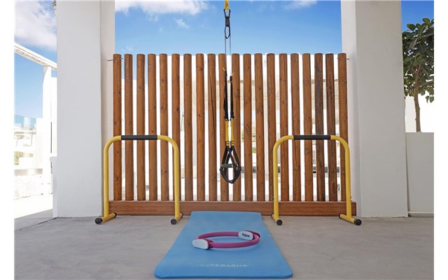 Calderas Dolphin Suites, Santorini, Greece - Caldrera's Dolphins Suites