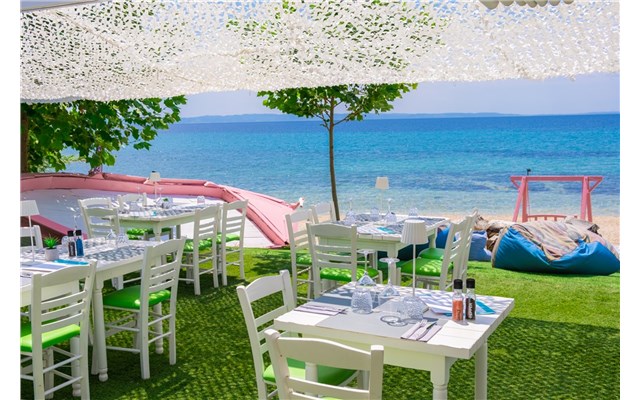  Acrotel Lily Ann Boutique