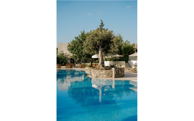  Village Heights Resort