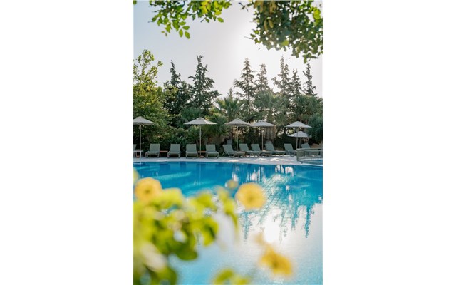  Village Heights Resort