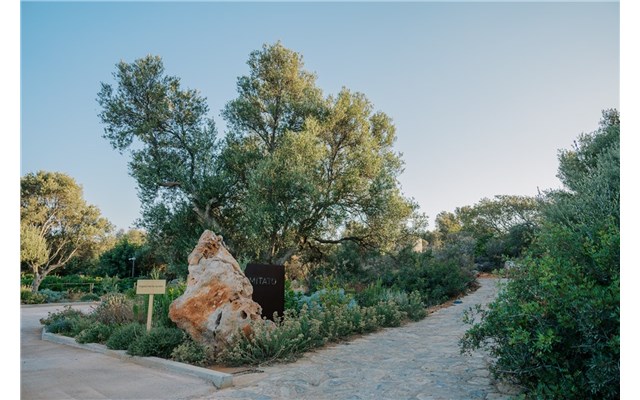  Village Heights Resort