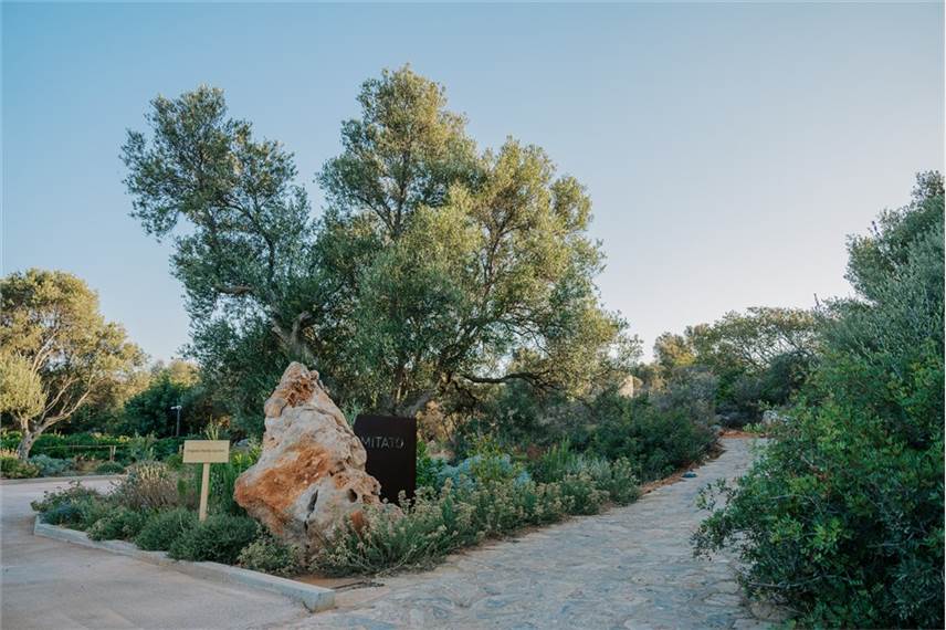 Village Heights Resort
