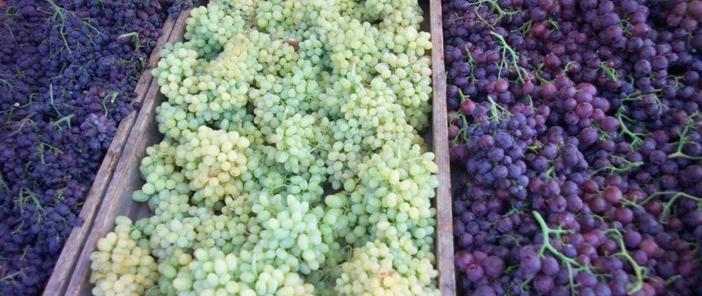 Kréta Makedonie Santorini Samos