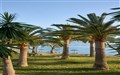  Grecotel Daphnila Bay