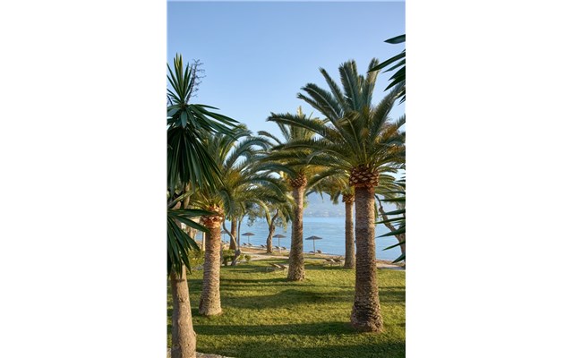  Grecotel Daphnila Bay