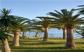 Hotel grecotel lux me daphnila bay dassia - Grecotel Daphnila Bay