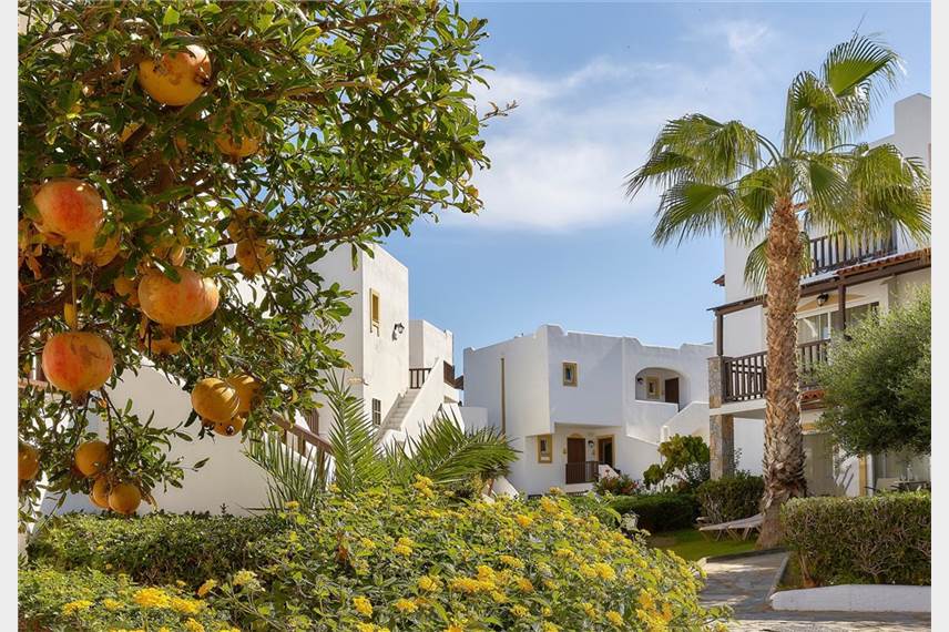  Alexander Beach Hotel and Village