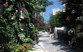  Makis / Santorini house