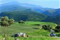 Ostrov Kréta - golfové hřiště
