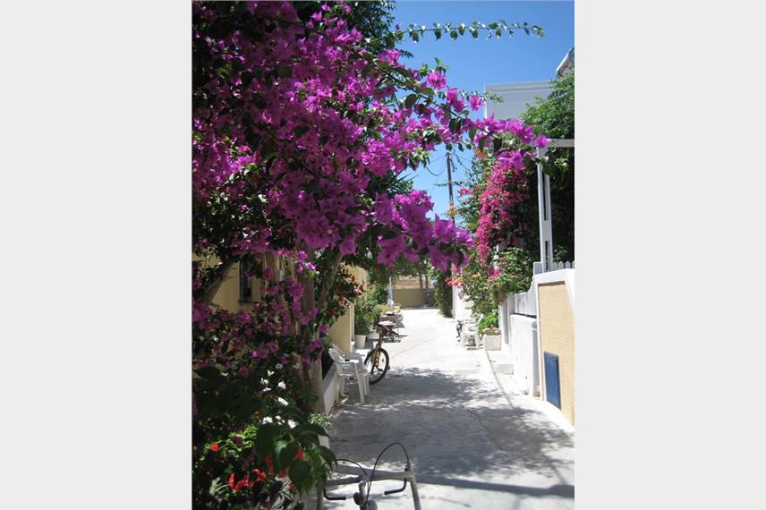  Makis / Santorini house