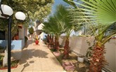 Řecko, Kréta, Malia, Hotel Triton Triton