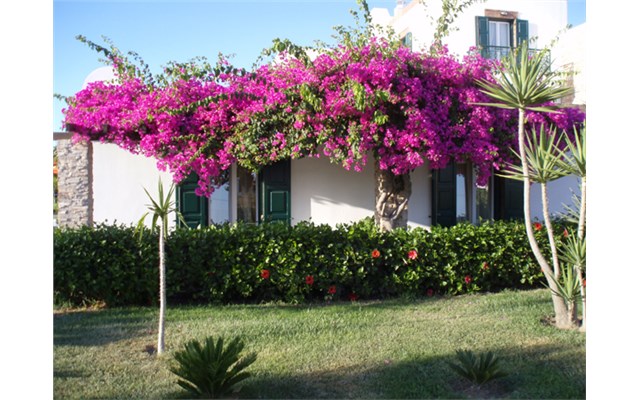 Porto Naxos Řecko, Naxos, Hotel Porto Naxos