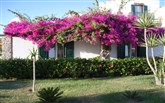 Řecko, Naxos, Hotel Porto Naxos Porto Naxos