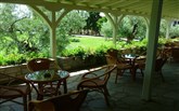 Řecko, Chalkidiki, Gerakini, Hotel Gerakina Beach Gerakina Beach