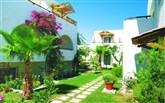 Řecko, Kos, Tigaki, Hotel Gaia Village Gaia Village Complex