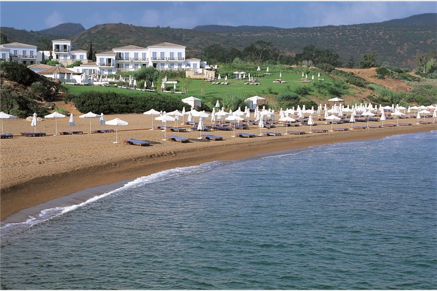  Anassa