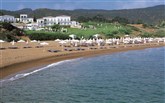  Anassa