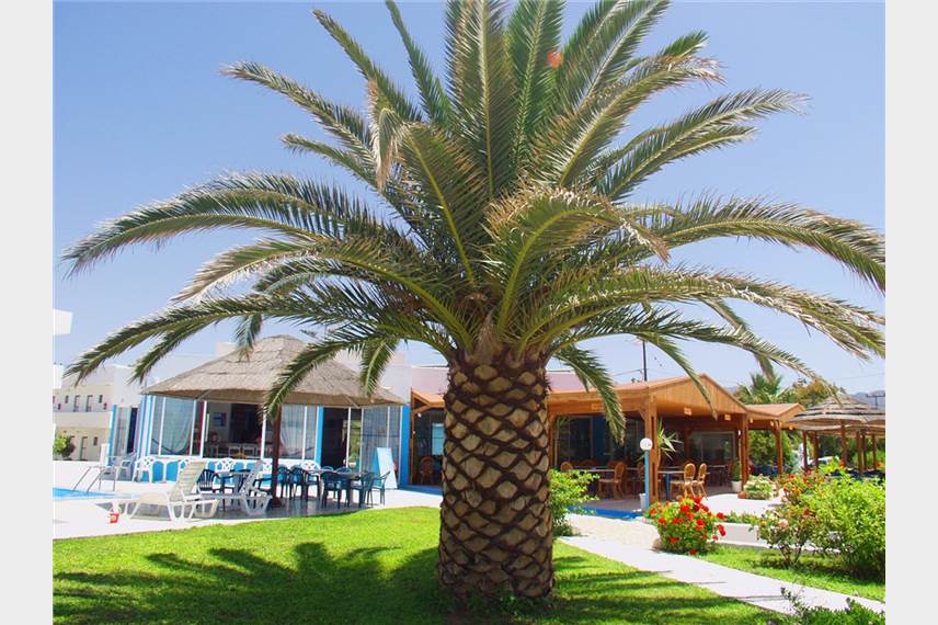  Blue Jay Beach