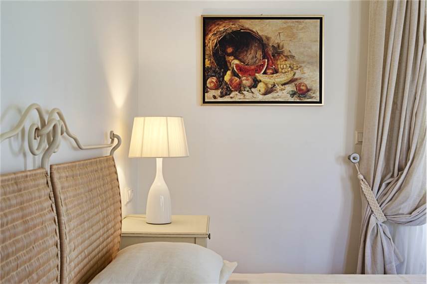  Naxian Collection