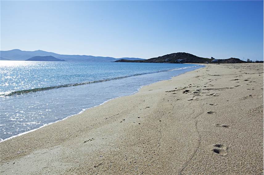  Naxian Collection