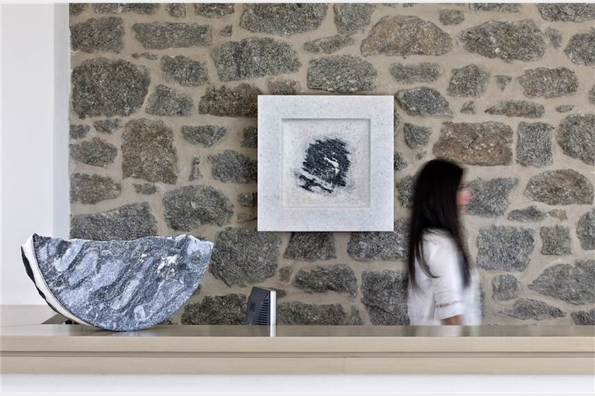  Naxian Collection