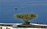  Andronis Luxury Suites