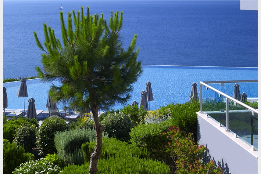 Michelangelo Resort and Spa