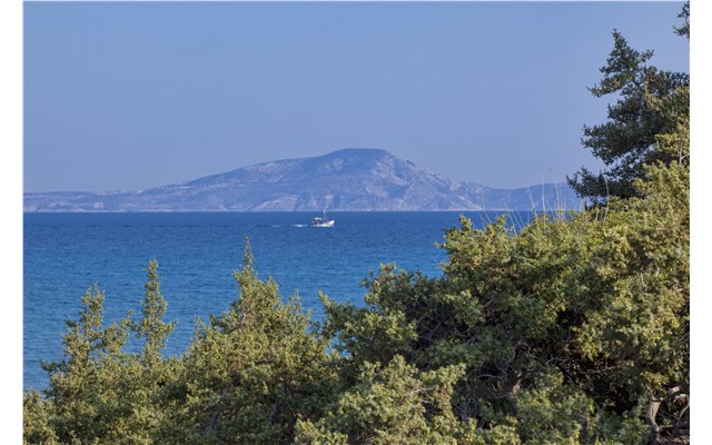 finikas beach hotel naxos Finikas Suites Hotel