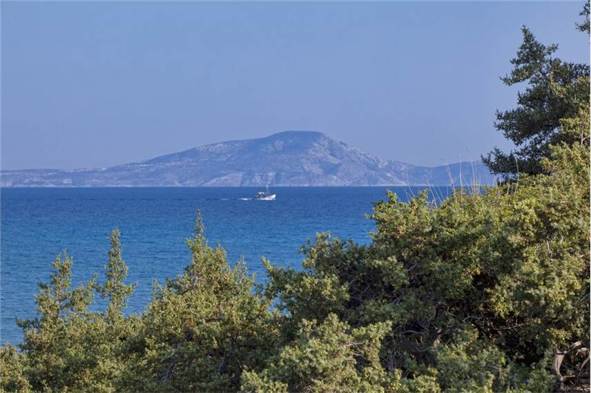 finikas beach hotel naxos Finikas Suites Hotel