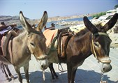 Rhodos -