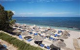  Aldemar Royal Mare