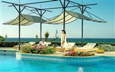  Aldemar Royal Mare