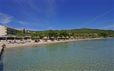  Delfinia