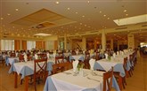  Delfinia