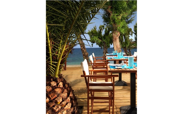 Out of the Blue Capsis Elite Resort / Oasis Bungalows / Classic collection Aqua Marine Beach Bar